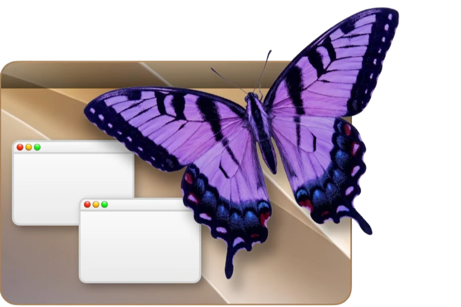 A butterfly over two Aqua windows